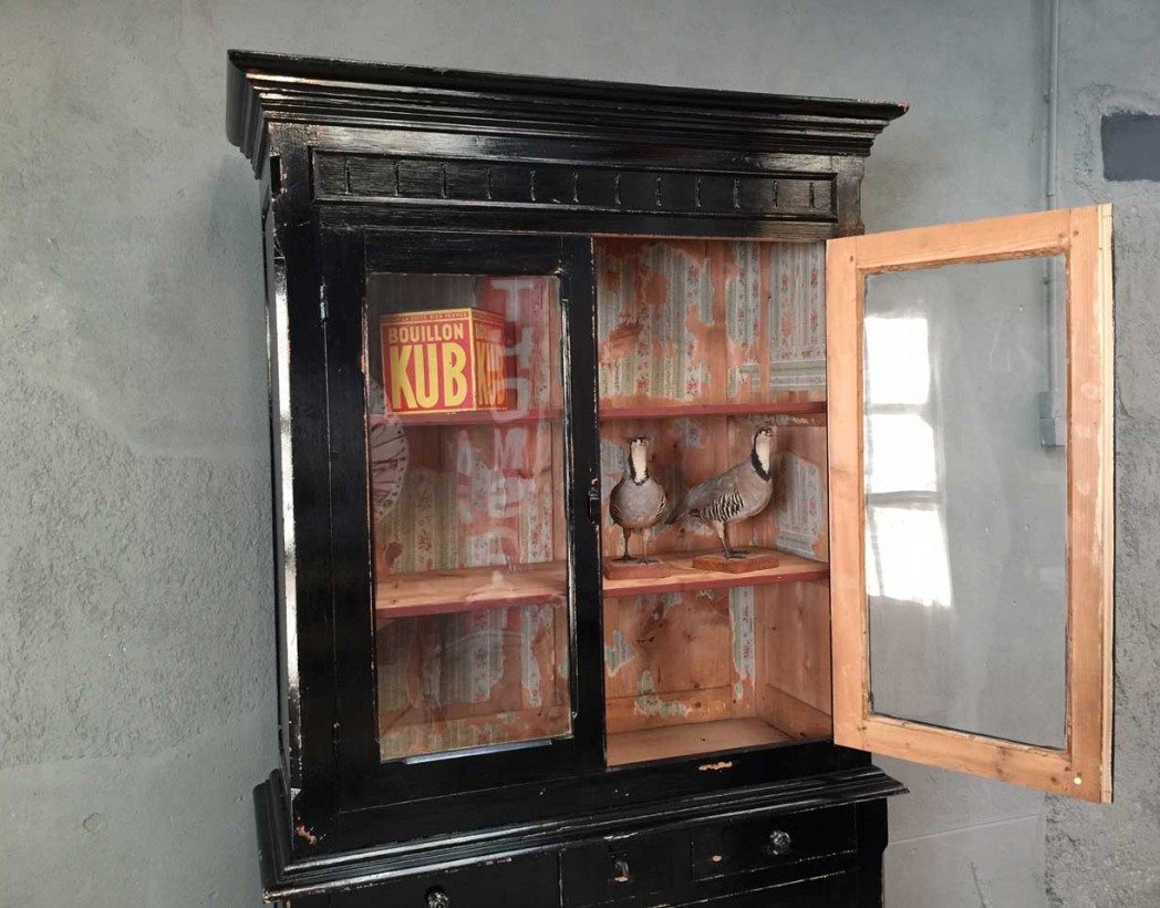 bibliotheque-cabinet-curiosite-ancienne-deco-5francs-5